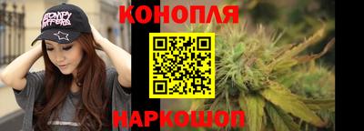 a pvp Лесосибирск
