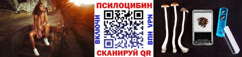 Псилоцибиновые грибы Psilocybine cubensis  Рассказово 