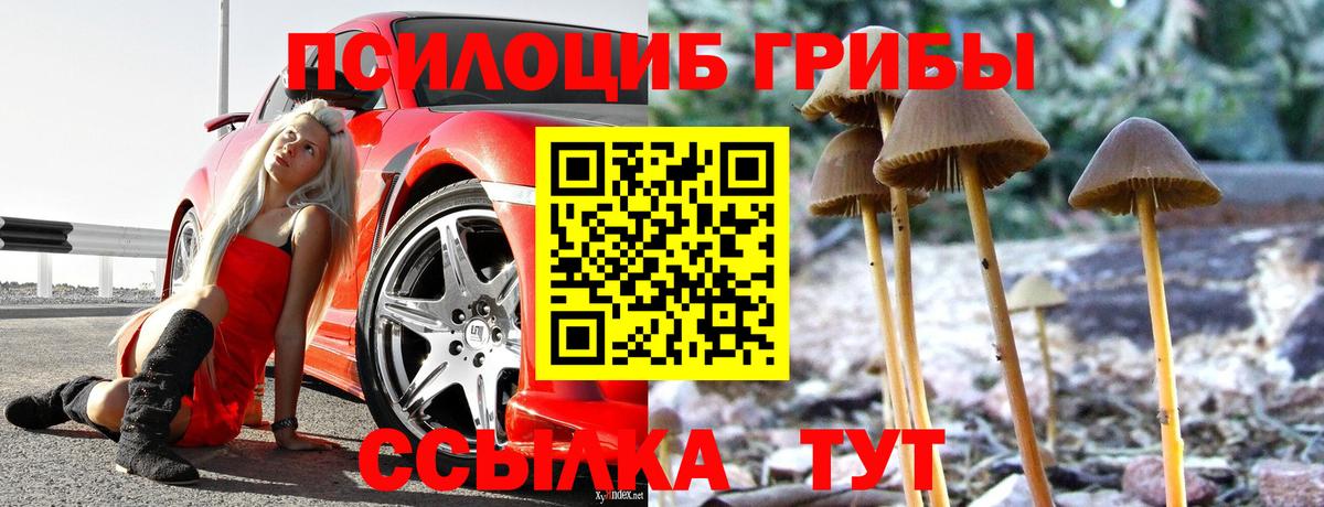 Галлюциногенные грибы Magic Shrooms Рассказово