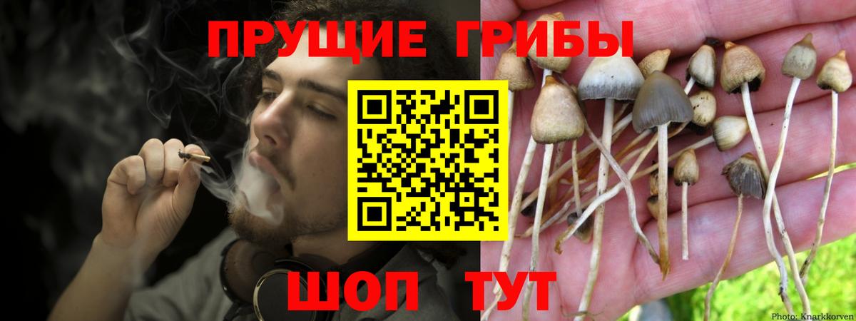 Рассказово  Галлюциногенные грибы ЛСД  Вход с VPN 